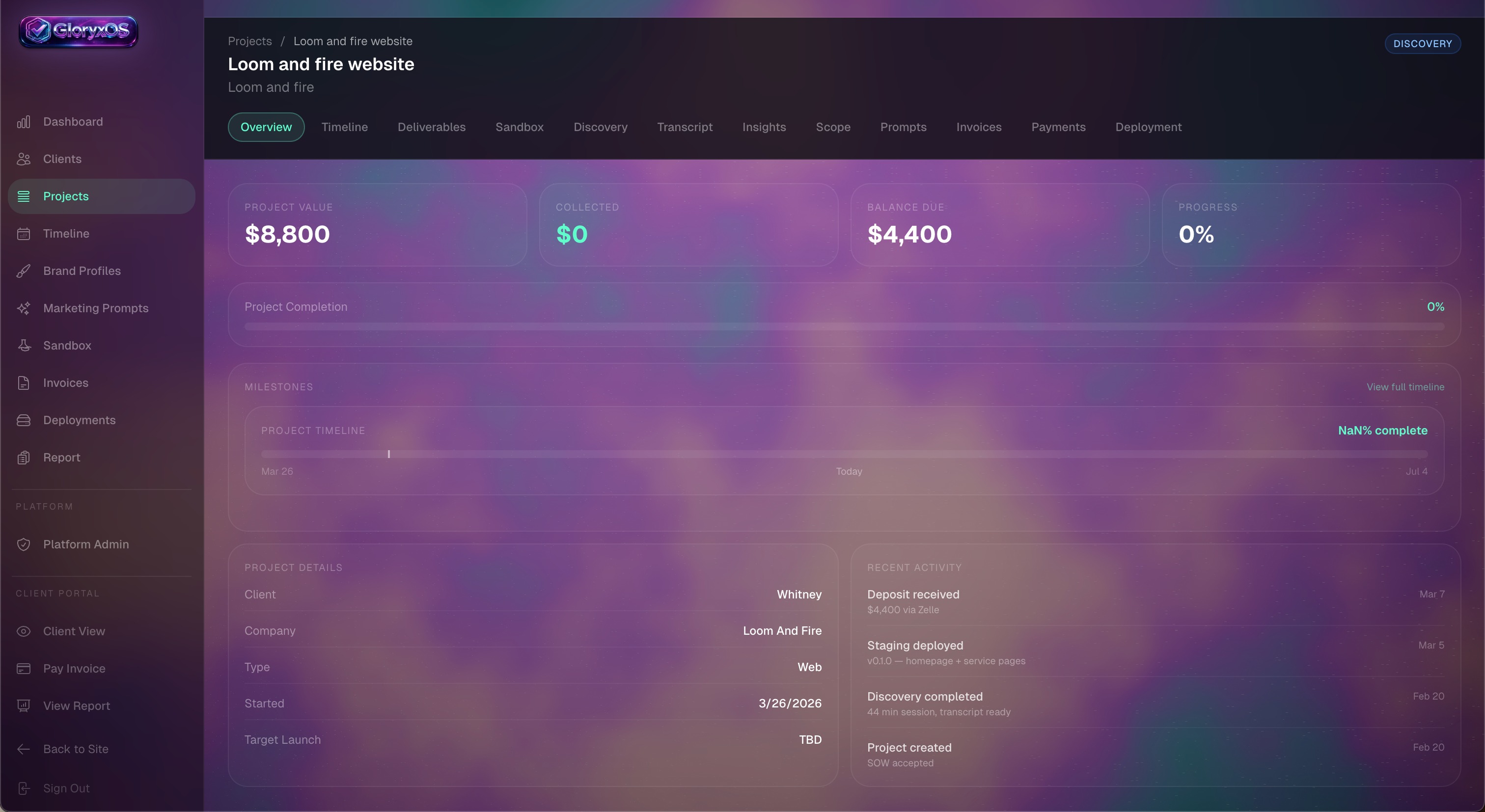Project Overview - Track value, milestones, and activity
